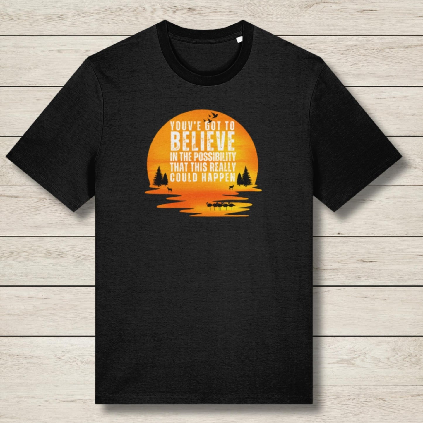 Believe In The Possibility Premium Unisex T Shirt