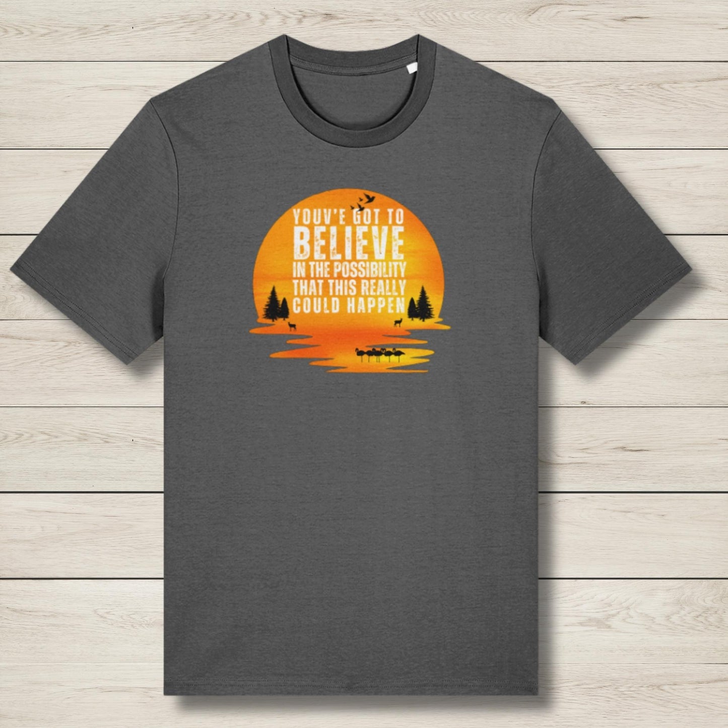 Believe In The Possibility Premium Unisex T Shirt