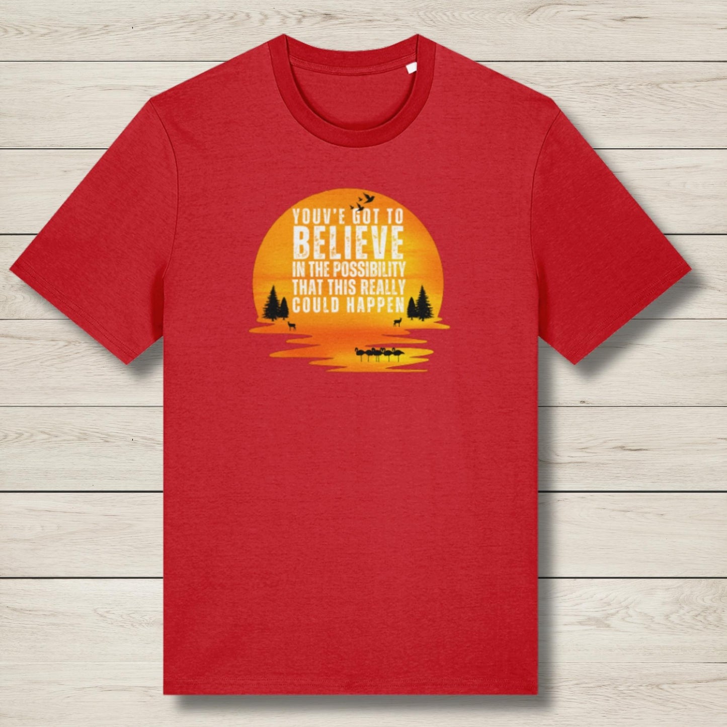 Believe In The Possibility Premium Unisex T Shirt