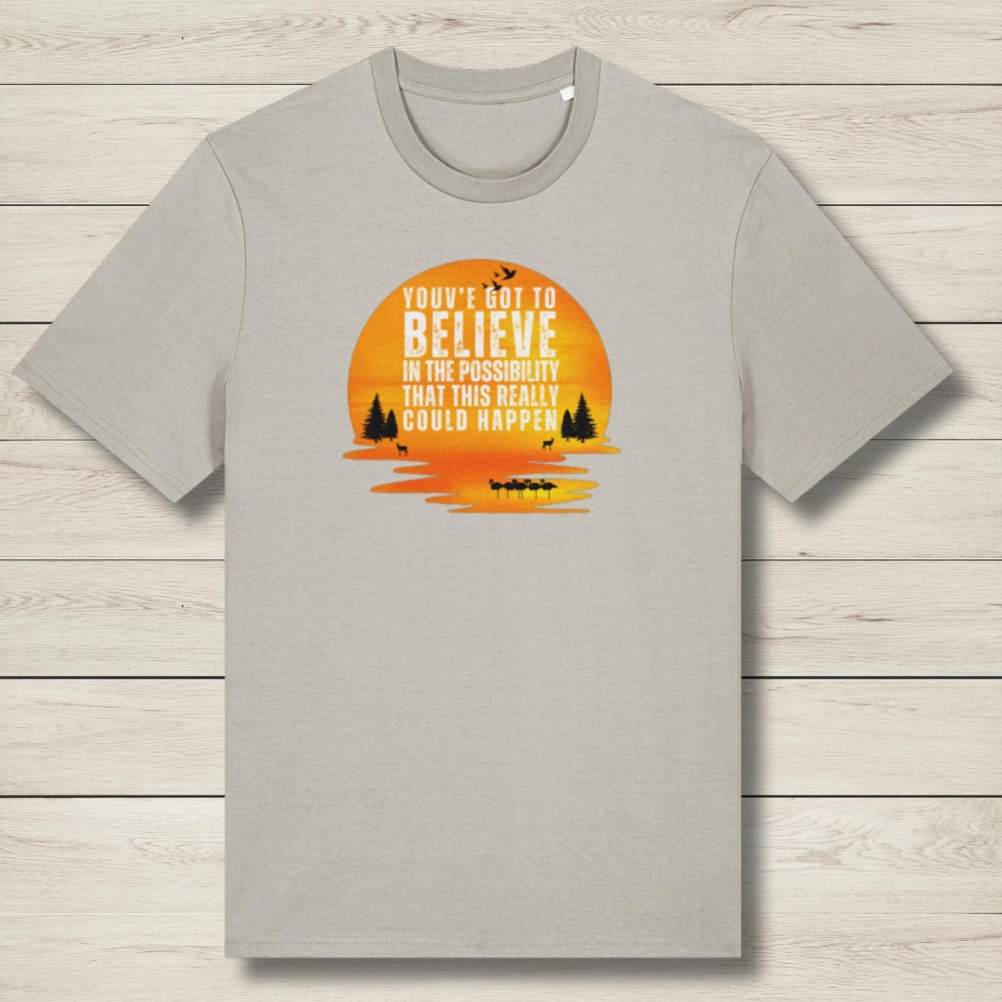 Believe In The Possibility  Premium Unisex T Shirt